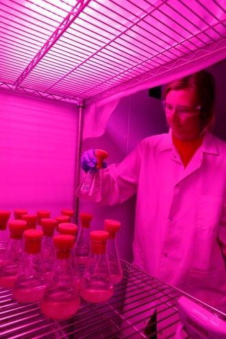 K1419 Acton Lake Biology Research Water Sampling